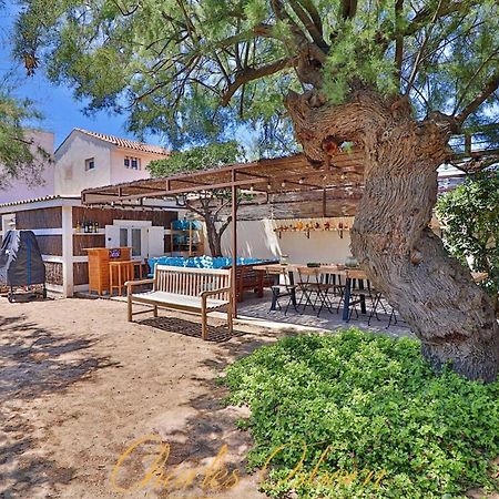 Villa Des Tamaris, Villa 5* En Bord De Mer. Frontignan ภายนอก รูปภาพ